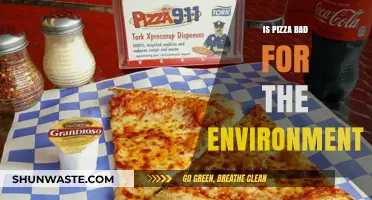 Pizza's Environmental Impact: Sustainable Choices for a Greener Slice