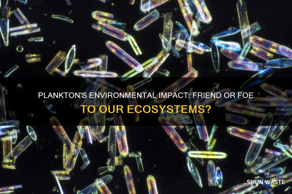 is plankton bad for the environment