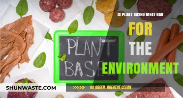 Is Plant-Based Meat Eco-Friendly? Uncovering Its Environmental Impact