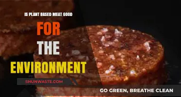 Plant-Based Meat: Eco-Friendly Choice or Greenwashed Trend?