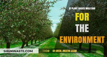 Plant-Based Milk vs. Environment: Uncovering the Eco-Impact of Dairy Alternatives