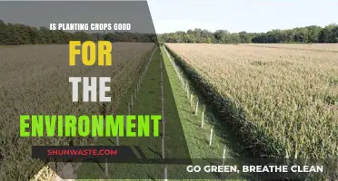 Is Crop Planting Eco-Friendly? Uncovering Agriculture's Environmental Impact