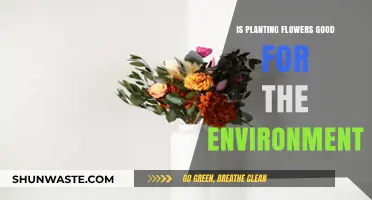 Planting Flowers: Environmental Benefits and Positive Ecological Impact Explained