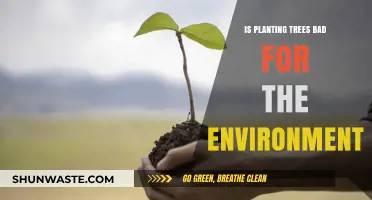 Are Tree Planting Initiatives Harming Our Environment? A Critical Analysis