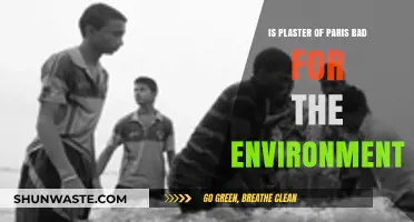 Is Plaster of Paris Eco-Friendly? Environmental Impact Explained