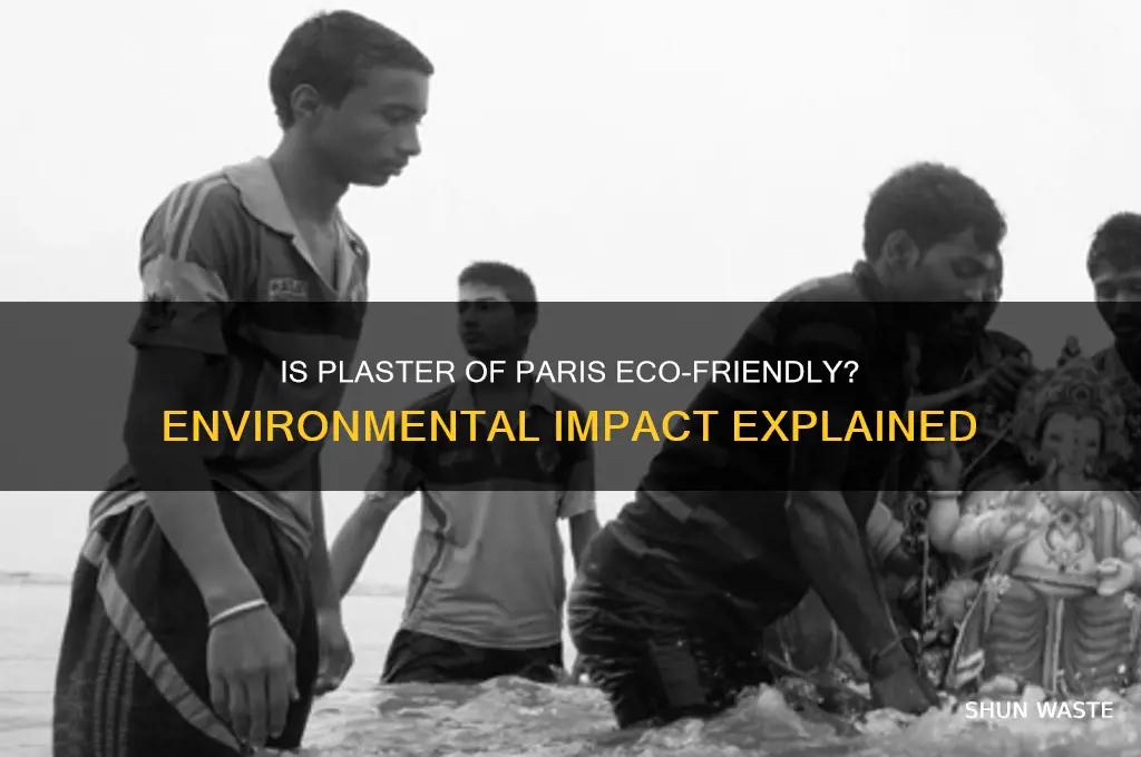 is plaster of paris bad for the environment