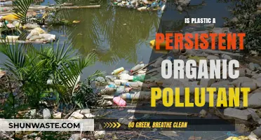 Plastic's Persistent Pollution: An Environmental Hazard