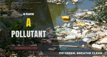 Plastic Pollution: Is Plastic a Silent Killer?