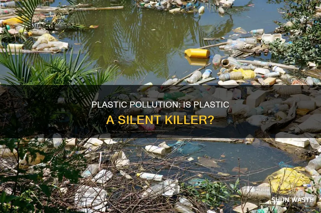 is plastic a pollutant