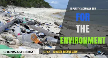 Is Plastic Harmful? Uncovering Its Environmental Impact and Consequences