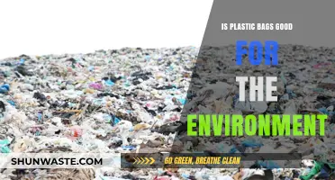 Are Plastic Bags Eco-Friendly? Debunking Myths and Environmental Impacts