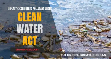 Plastic Pollution: A Clean Water Act Concern