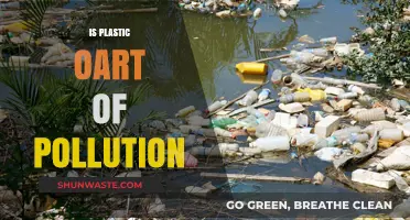Plastic Pollution: Harming Our Planet