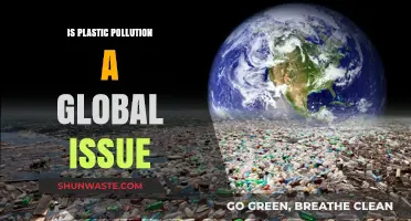Plastic Pollution: A Global Crisis?
