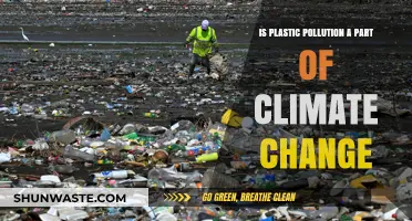 Plastic Pollution's Climate Impact: Understanding the Connection