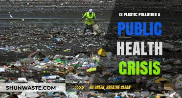 Plastic Pollution: A Public Health Emergency