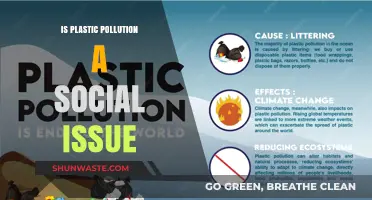 Plastic Pollution: A Social Issue We Must Address