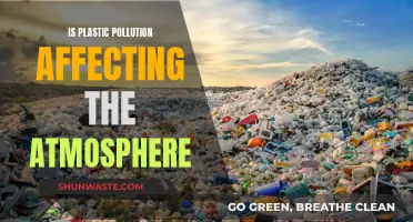 Plastic Pollution: Harming Our Atmosphere and Environment