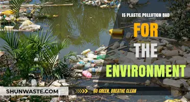 Plastic Pollution: Environmental Impact and Solutions