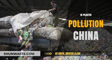 China's Plastic Pollution: A Growing Environmental Crisis