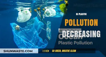 Plastic Pollution: Is the Tide Turning?