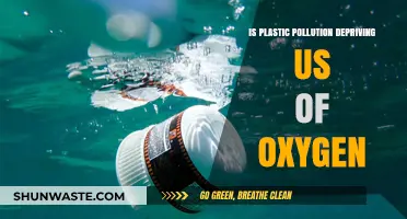 Plastic Pollution: Stealing Our Breath and Future