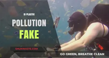 Plastic Pollution: Real Threat or Hoax?