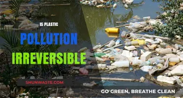 Plastic Pollution: Can We Reverse the Damage?