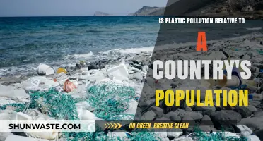 Plastic Pollution: Population's Impact and Responsibility
