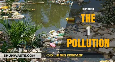 Plastic Pollution: The World's Number One Environmental Crisis