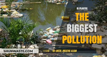 Plastic Pollution: The World's Biggest Environmental Crisis?