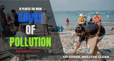 Plastic's Pollution Problem: Unraveling the Truth