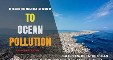 Plastic Pollution: Ocean's Biggest Threat?