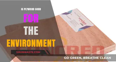 Plywood's Eco-Friendly Potential: Sustainable Choice or Environmental Concern?