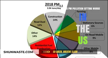 PM Pollution in the US: Is It Worsening?