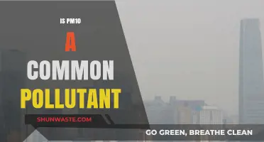 PM10 Pollution: A Common and Dangerous Air Quality Issue