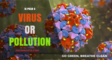 Polio: Virus or Pollution?