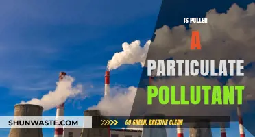 Pollen and Particulate Pollutants: What's the Connection?