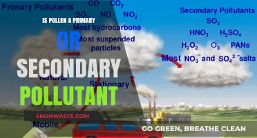 Pollen's Primary or Secondary Pollutant Status: What's the Verdict?
