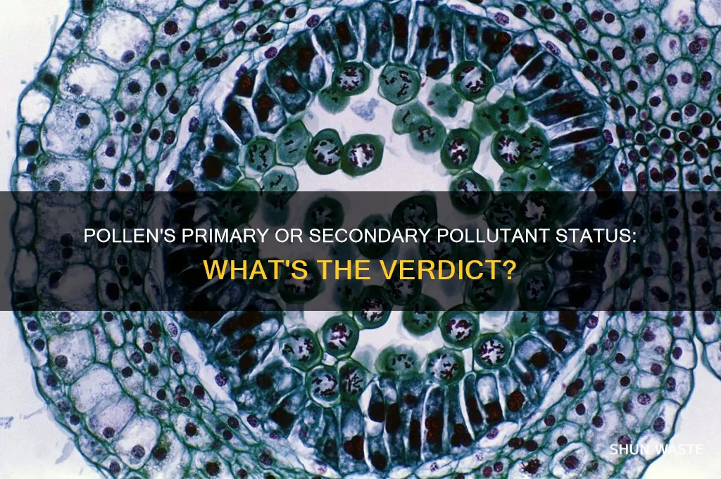 is pollen a primary or secondary pollutant