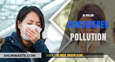 Pollen: Nature's Air Pollution?