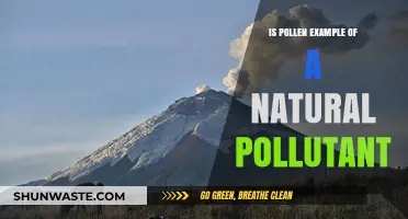 Pollen: Nature's Unseen Pollutant