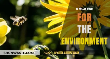 Pollen's Environmental Impact: Benefits, Biodiversity, and Ecosystem Health Explained