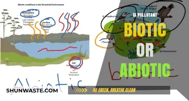 What Are Pollutants? Biotic or Abiotic?