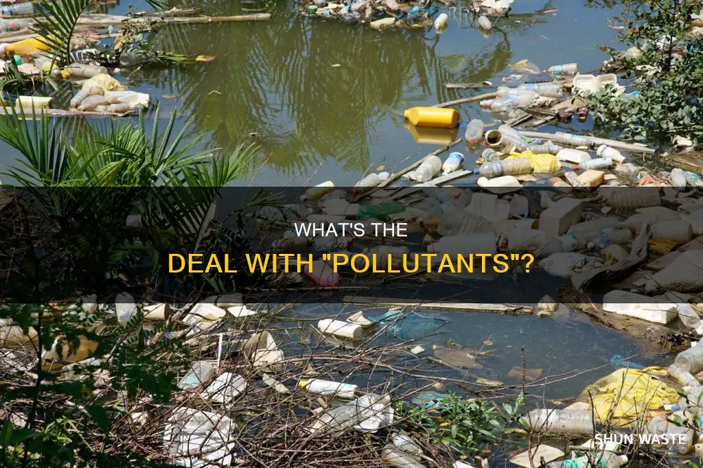 is pollutants a word