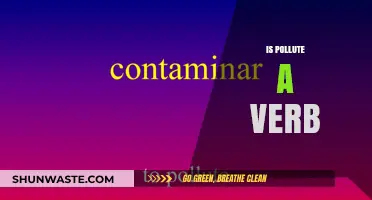 What Does 'Pollute' Mean? Understanding the Verb's Impact