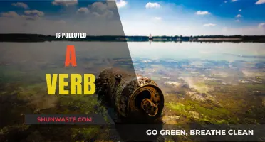 What Does 'Polluted' Mean? Is It a Verb?