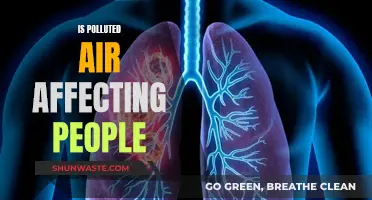 Air Pollution: Harming People, Hurting Our Health