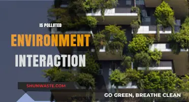Human-Environment Interaction: Polluted Surroundings