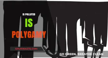 Polygamy: A Polluted Perspective?